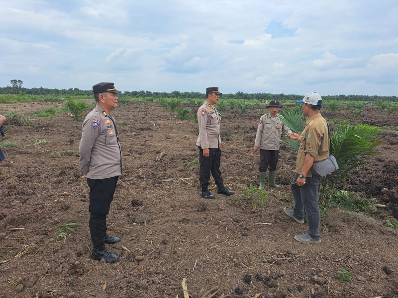 Kanit Binmas Polsek Talang Kelapa AKP Heri Pujo, turut didampingi oleh Panit 2 Binmas Polsek Talang Kelapa Iptu Halim, dan Bhabinkamtibmas Polsek Talang kelapa Briptu M Husein S serta Kapospol Kenten Aiptu P Napitupulu selaku penggerak Ketahanan Pangan Desa Kenten Laut.
