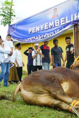 Semarak Idul adha 1447 H, Polres OKI Gelar Sholat Ied Bersama dan Sembelih 15 Sapi serta 17 Kambing Kurban