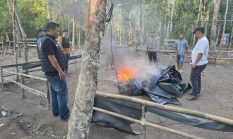 Polres OKI Selidiki Dugaan Perjudian Sabung Ayam di Pematang Panggang