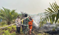 Satgas Gabungan Padamkan Titik Api di Pangkalan Lampam