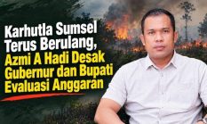 Tomas Ogan Ilir Minta Kepala Daerah Evaluasi Pola Penanganan Karhutla