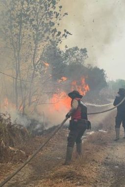 Api Membakar Lahan di Perigi, Polres OKI dan Warga Berjibaku Cegah Karhutla Meluas